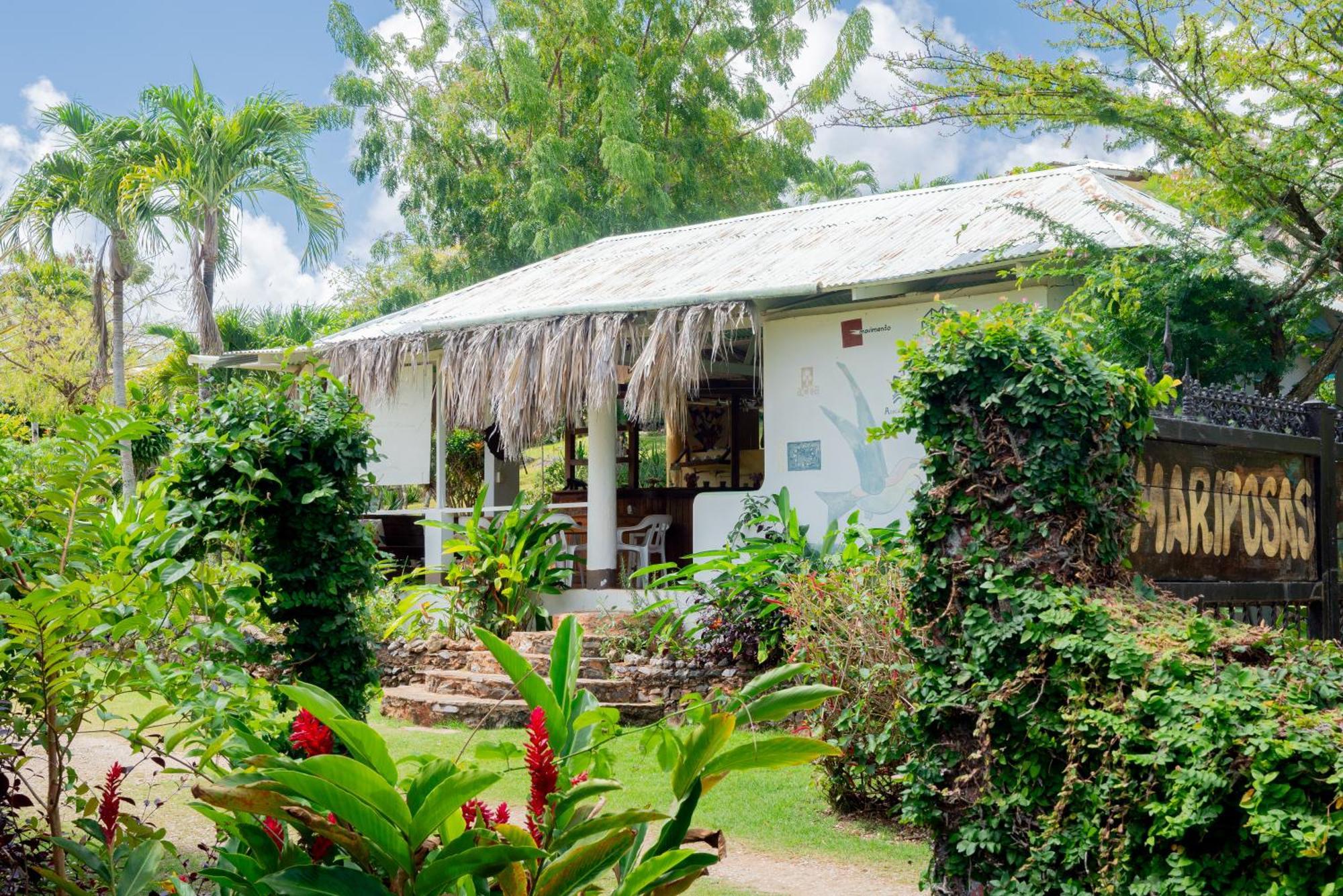 Las Mariposas Las Galeras Exterior photo