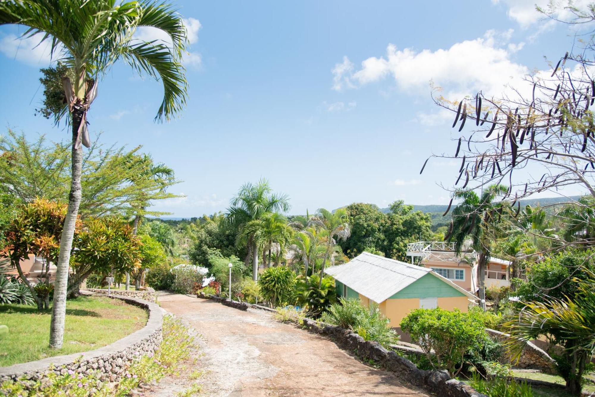 Las Mariposas Las Galeras Exterior photo